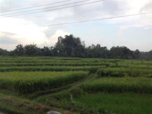 IMG_3014 (Small)